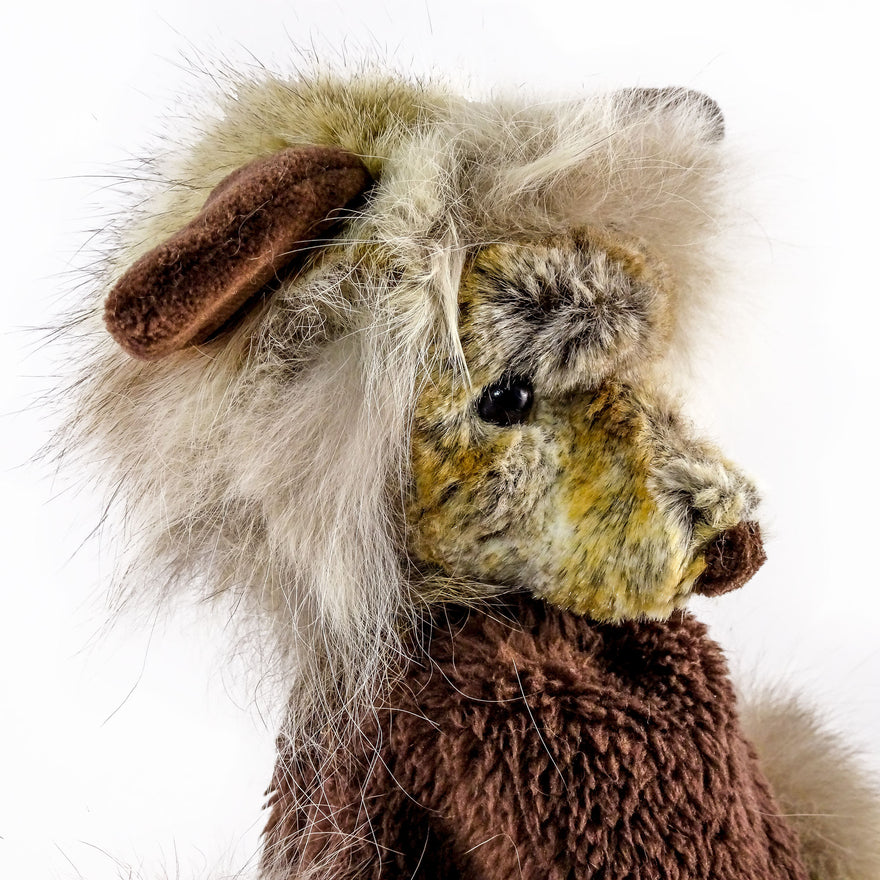 Begegnung mit dem Fuchs